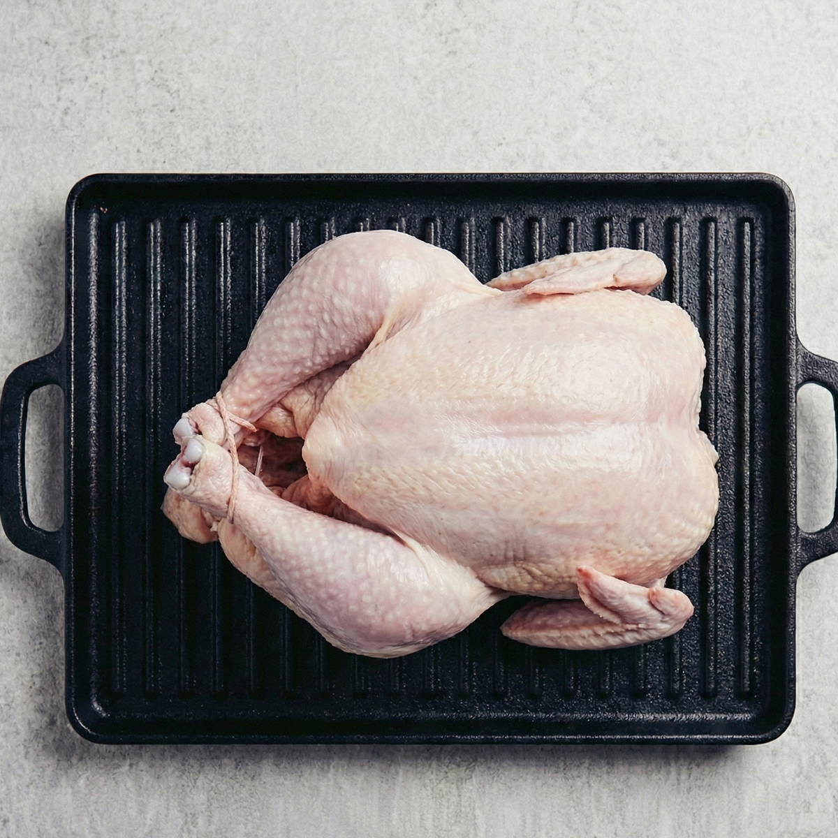 Pollo